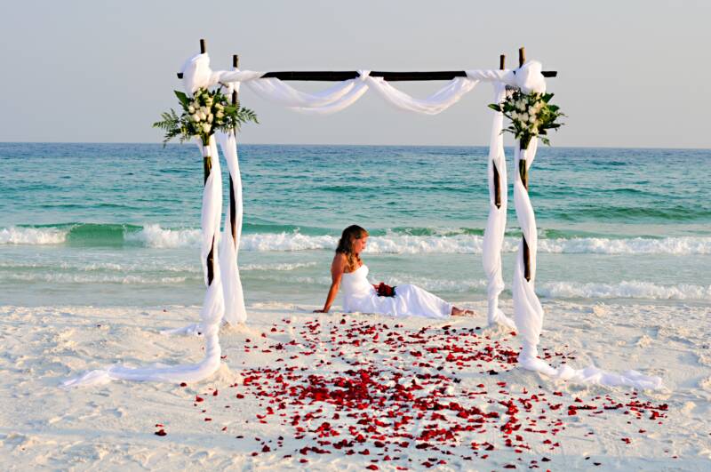 1000 Images About California Beach Weddings On Pinterest Beach