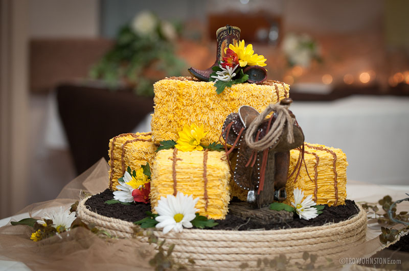 Those couples that adore the Wild West would love the idea of the western-themed reception with the western-styled cake