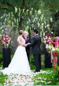 Wedding-ceremony