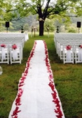 Wedding-ceremony