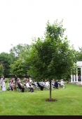 old-central-church-joliet-outdoor-ceremony