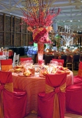 Orange-Wedding-Reception-HELP--Need-Chair-Covers