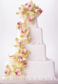 White Petal Wedding Cake