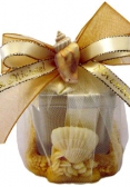 Bonbonnière with seashells