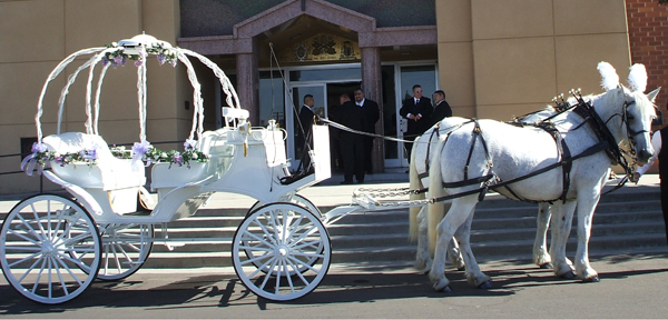 Wedding-transportation-carriage