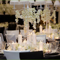 ideas-wedding-white-color-theme