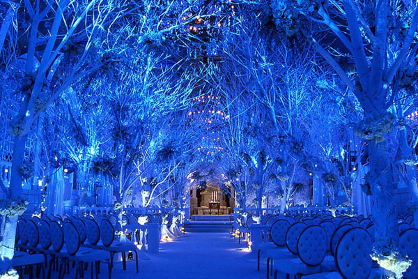 winter-wedding-themes-christmas