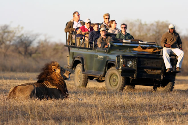 South-Africa-Honeymoon-Safari