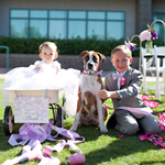 Wedding Children Dog