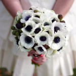 Anemone For Unusual Wedding Bouquet